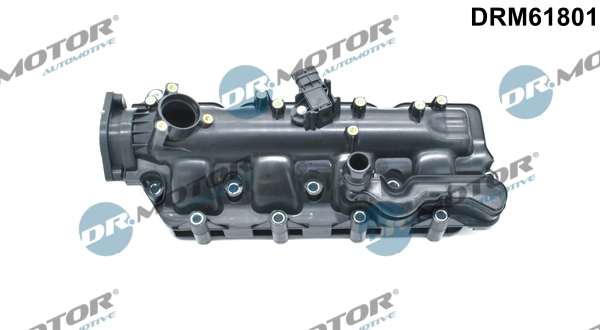 Intake Manifold Module DRM61801
