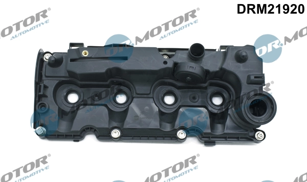 Cylinder Head Cover DRM21920