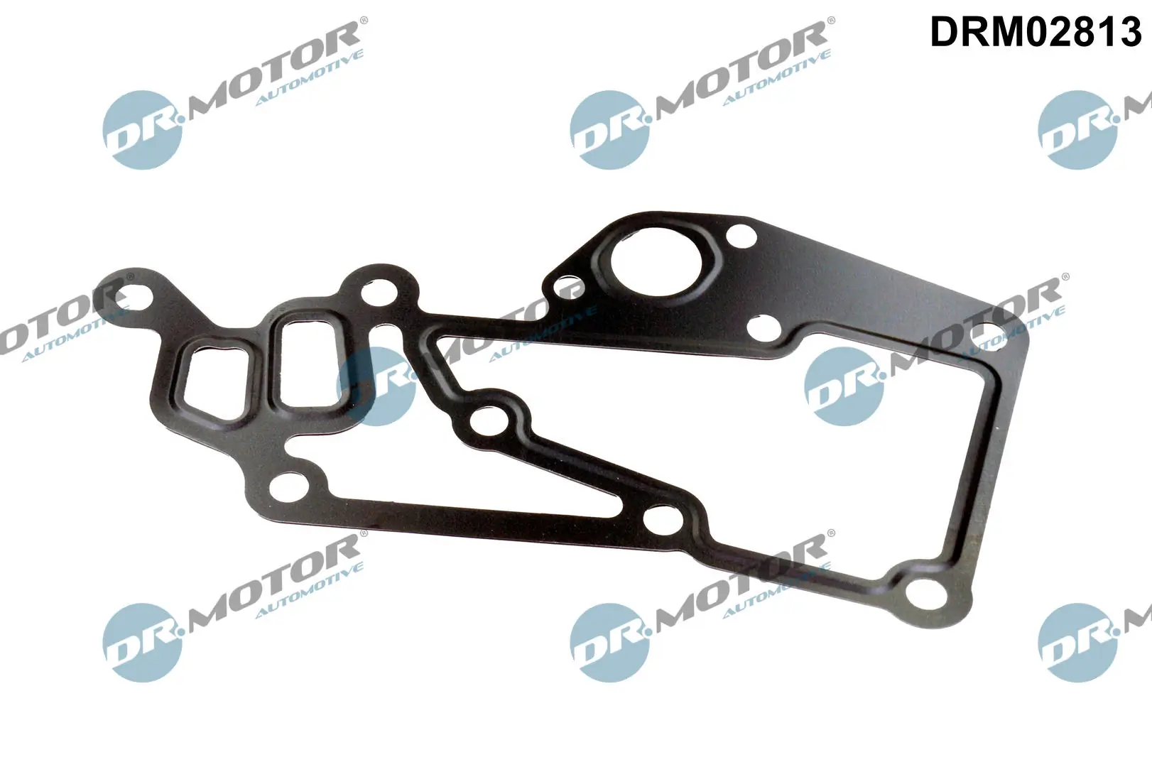 Gasket, thermostat housing DRM02813