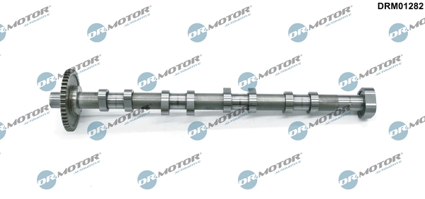Camshaft DRM01282