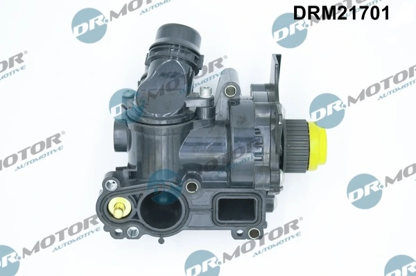 Water Pump, engine cooling DRM21701