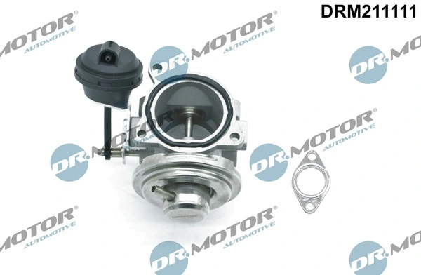 Injap AGR DRM211111