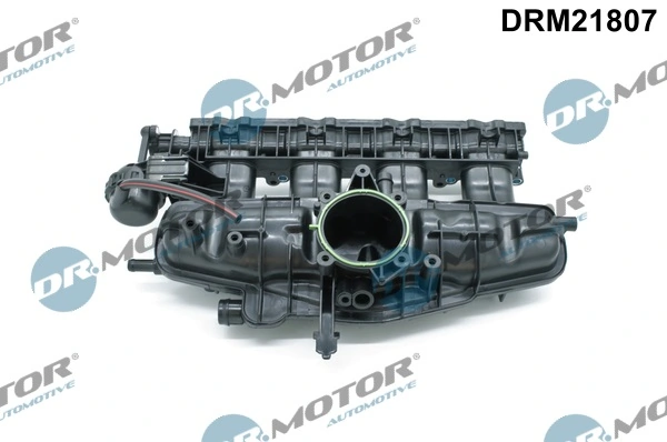 Intake Manifold Module DRM21807