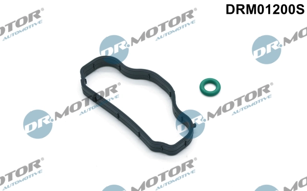 Gasket Set, cylinder head cover DRM01200S