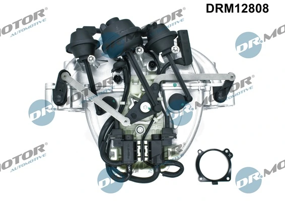 Intake Manifold Module DRM12808
