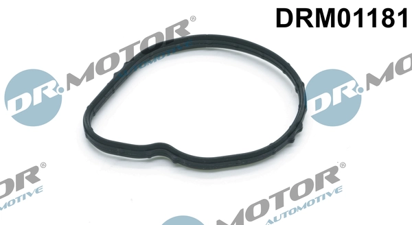 Seal, thermostat DRM01181