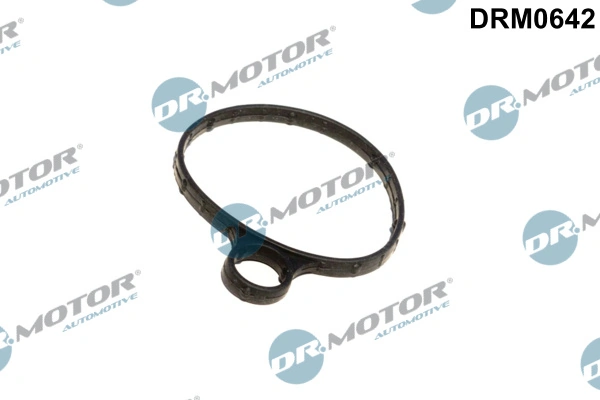 Gasket, vacuum pump DRM0642