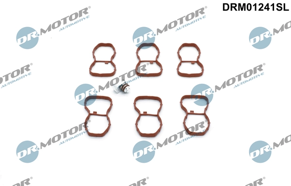 Repair Kit, intake manifold module DRM01241SL
