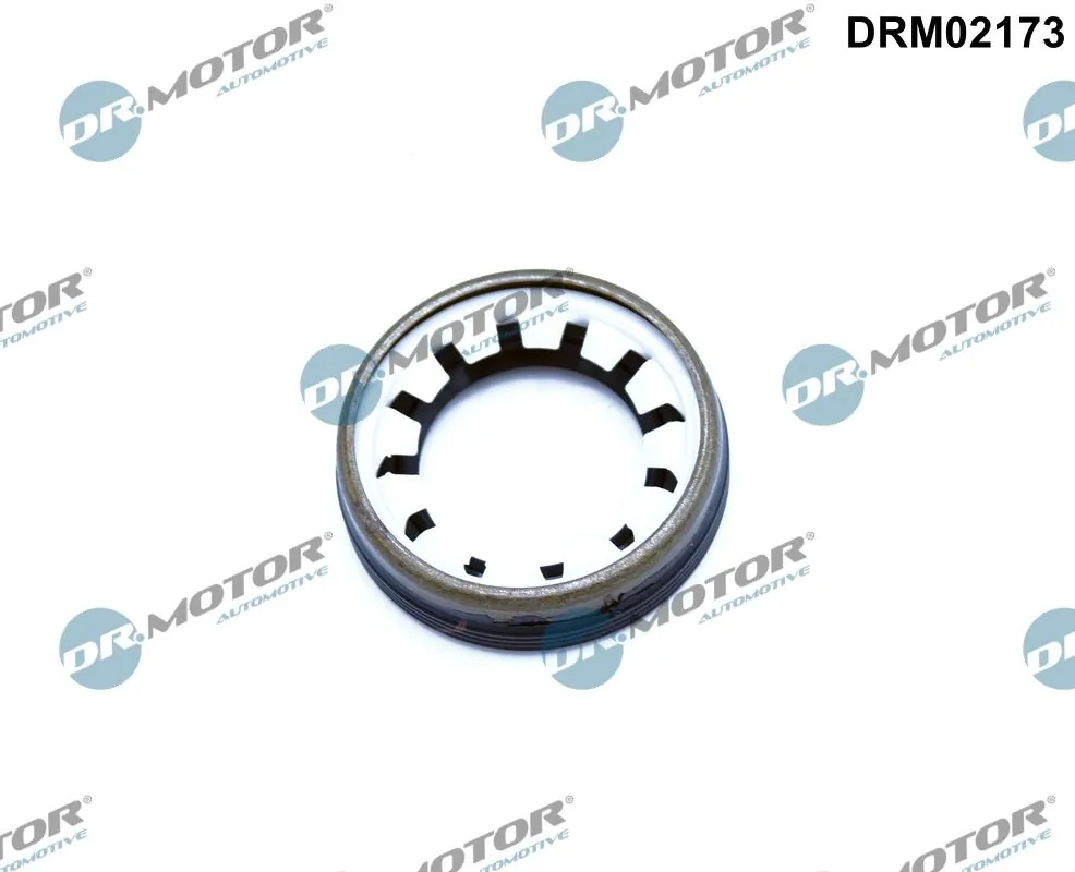Shaft Seal, differential DRM02173