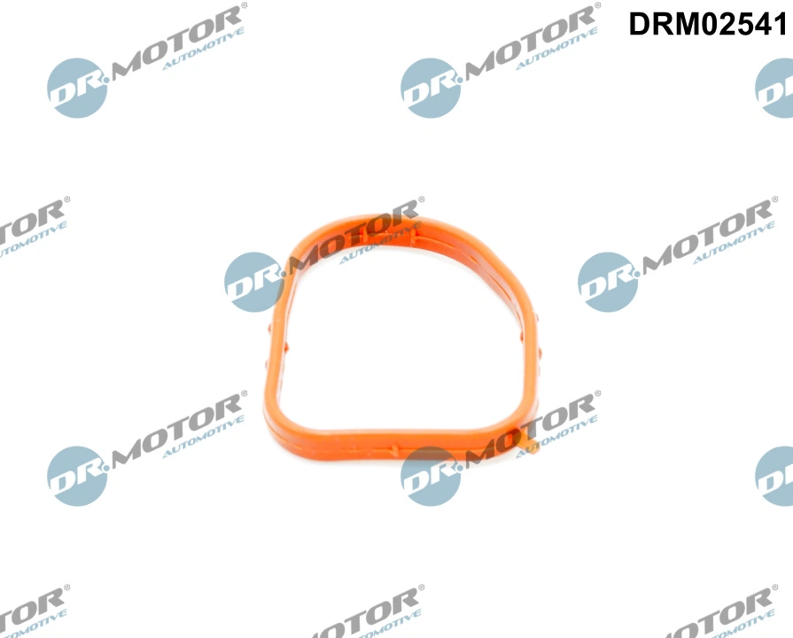 Gasket, coolant flange DRM02541
