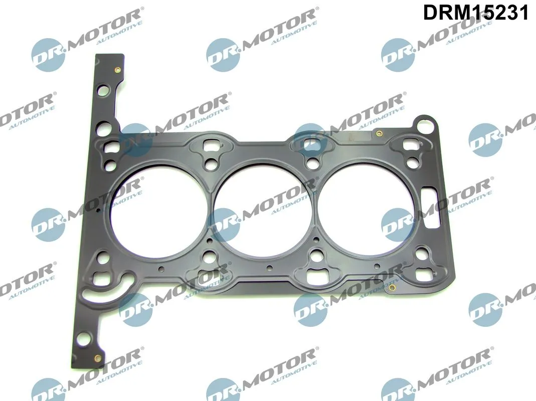 Gasket, cylinder head DRM15231