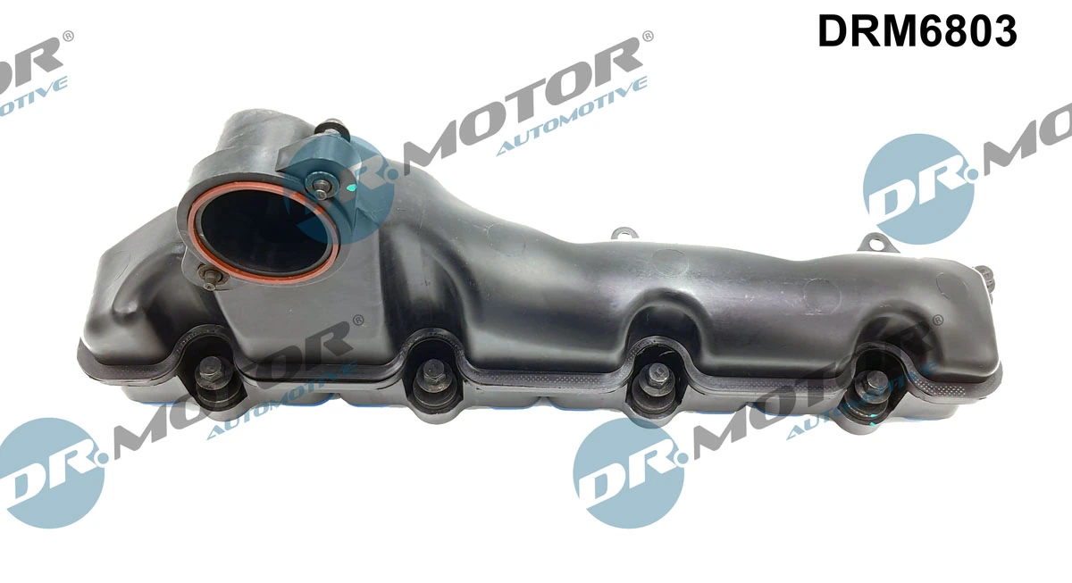 Intake Manifold Module DRM6803