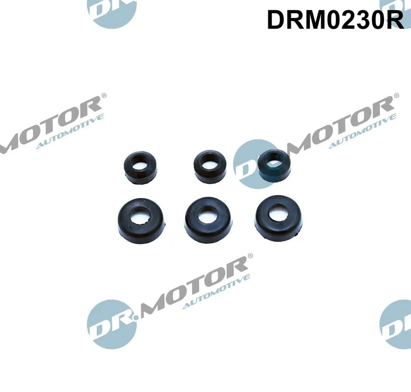 Seal Ring, cylinder head cover bolt DRM0230R