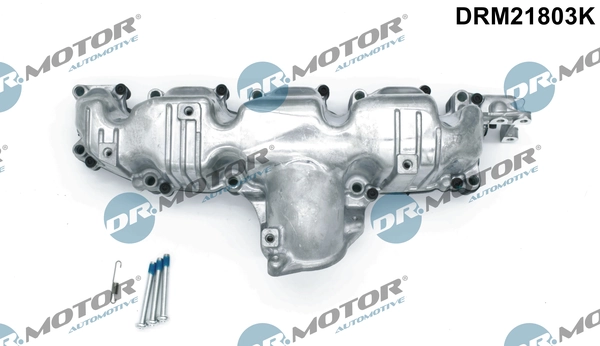Intake Manifold Module DRM21803K
