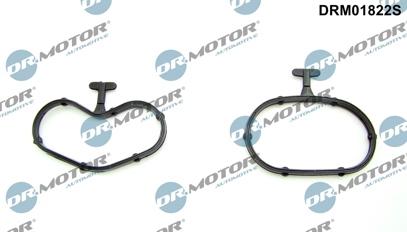Gasket Set, oil cooler DRM01822S