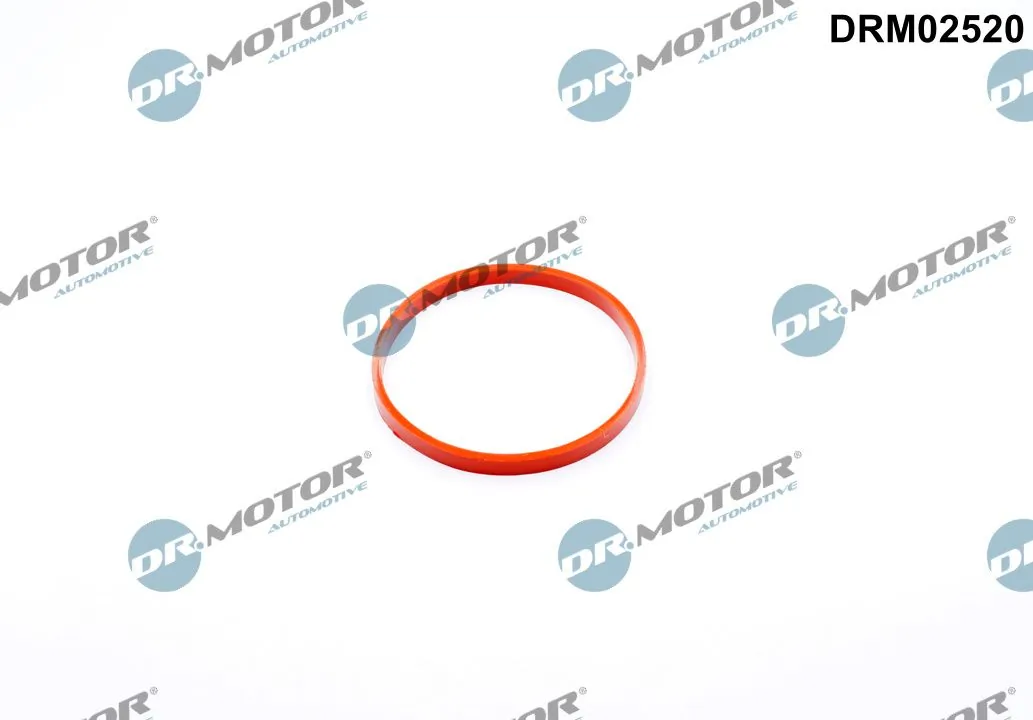 Gasket, throttle body DRM02520