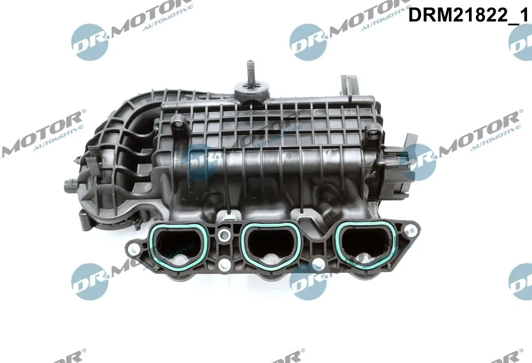 Intake Manifold Module DRM21822