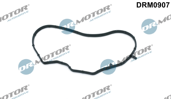 Gasket, timing case cover DRM0907