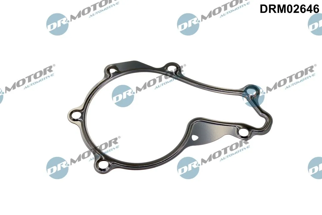 Gasket, water pump DRM02646