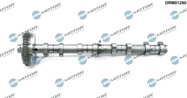 Camshaft DRM01280