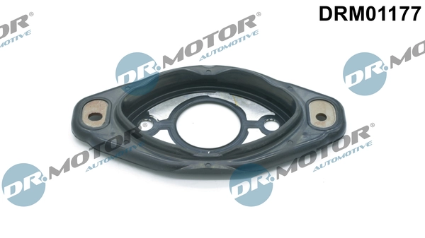Seal, camshaft adjustment DRM01177