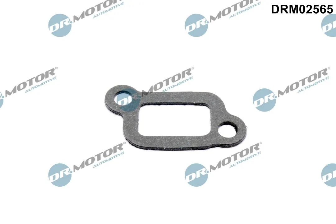 Gasket, thermostat housing DRM02565