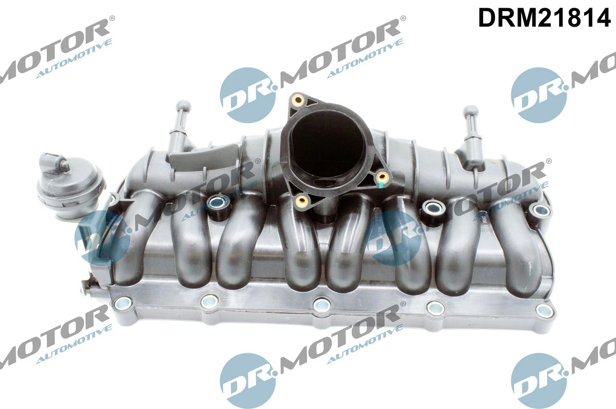Intake Manifold Module DRM21814