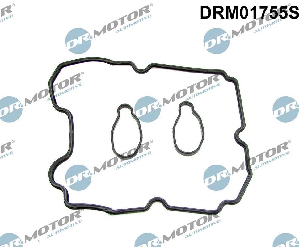 Gasket Set, cylinder head cover DRM01755S