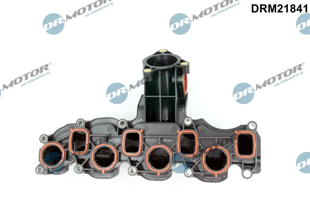 Intake Manifold Module DRM21841