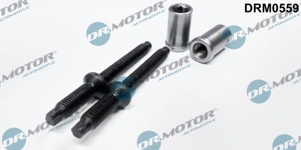 Screw, injection nozzle holder DRM0559