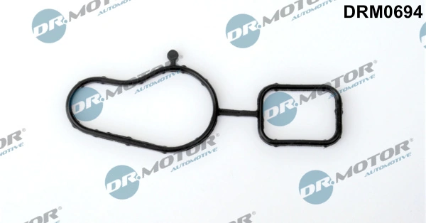 Gasket, water pump DRM0694