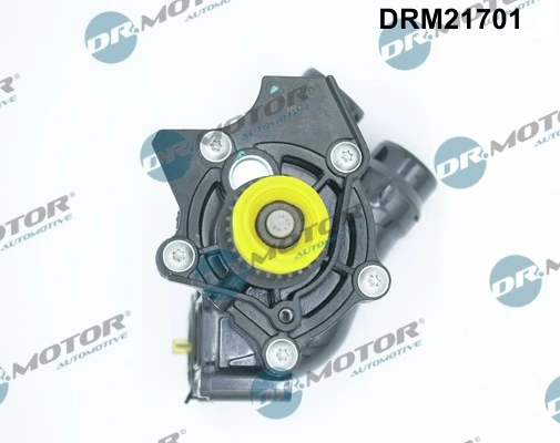 Water Pump, engine cooling DRM21701