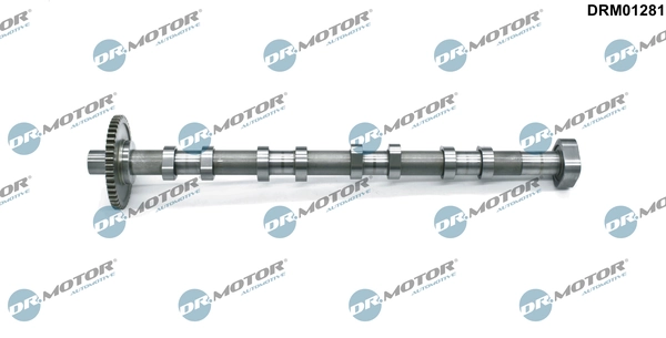 Camshaft DRM01281