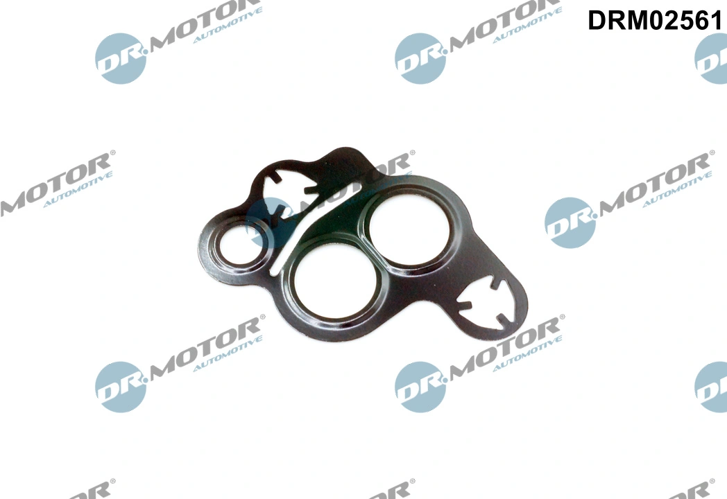 Gasket, EGR valve DRM02561