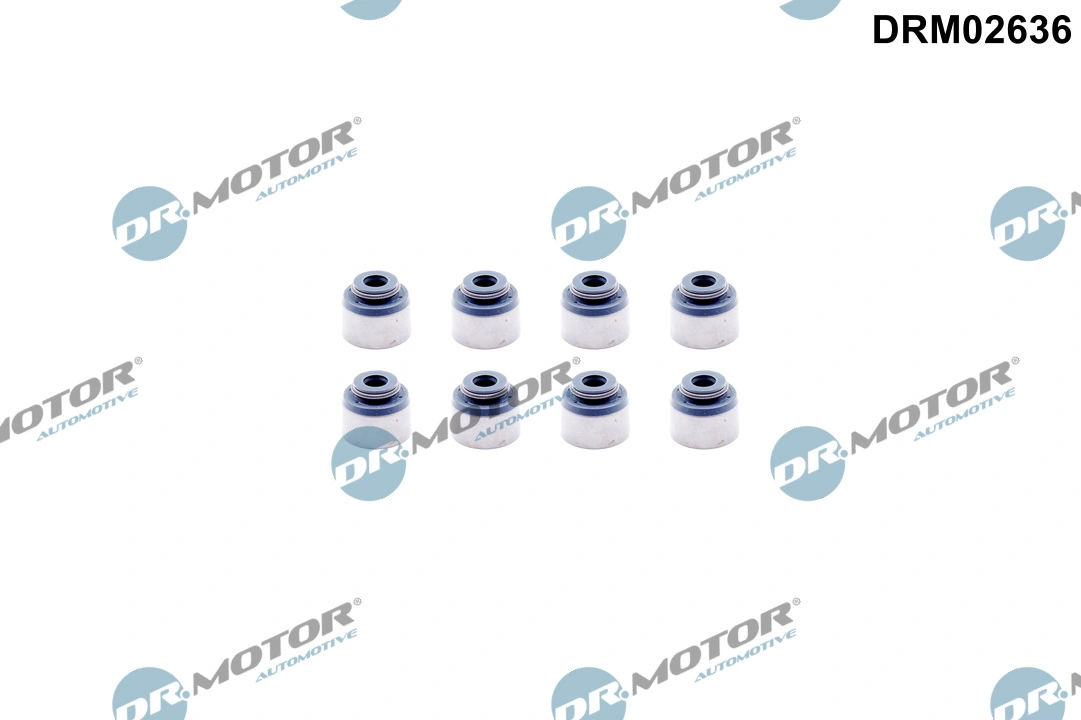 Seal Ring, valve stem DRM02636