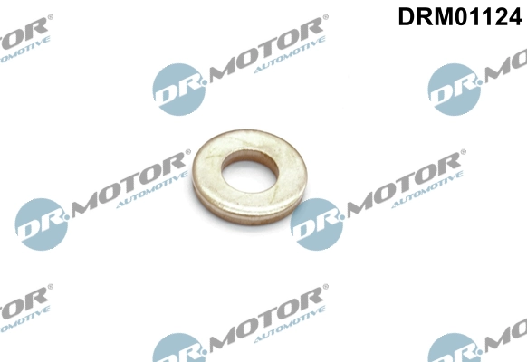 Heat Shield, injection system DRM01124
