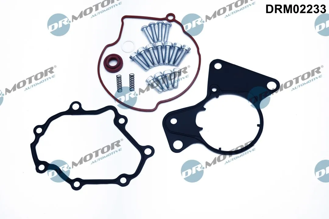 Repair Set, vacuum pump (braking system) DRM02233