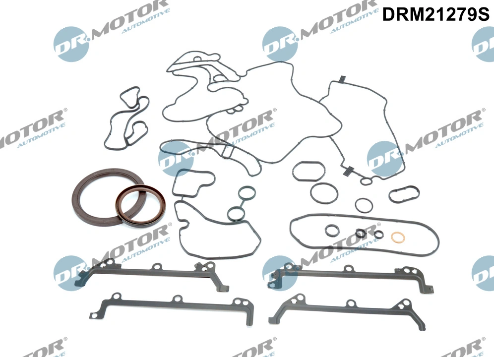 Gasket Kit, crankcase DRM21279S