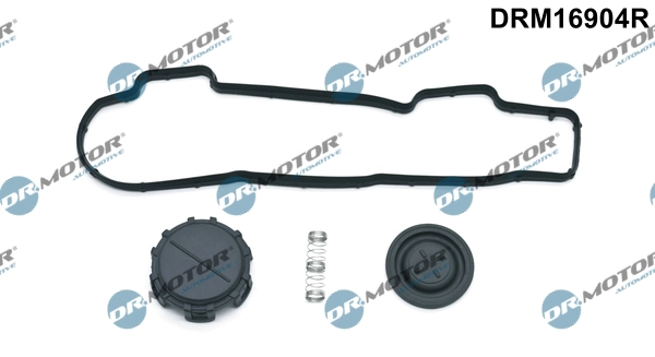 Gasket Set, cylinder head cover DRM16904R