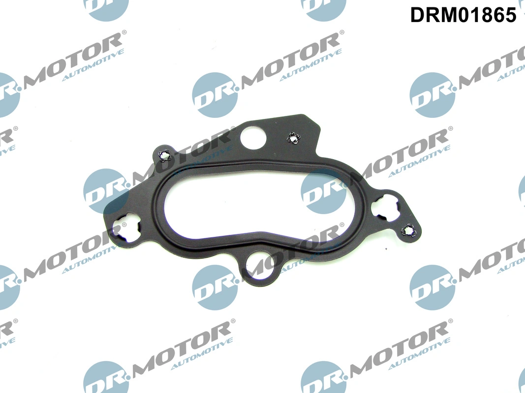 Gasket, thermostat housing DRM01865