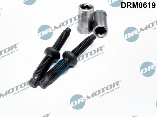 Screw, injection nozzle holder DRM0619