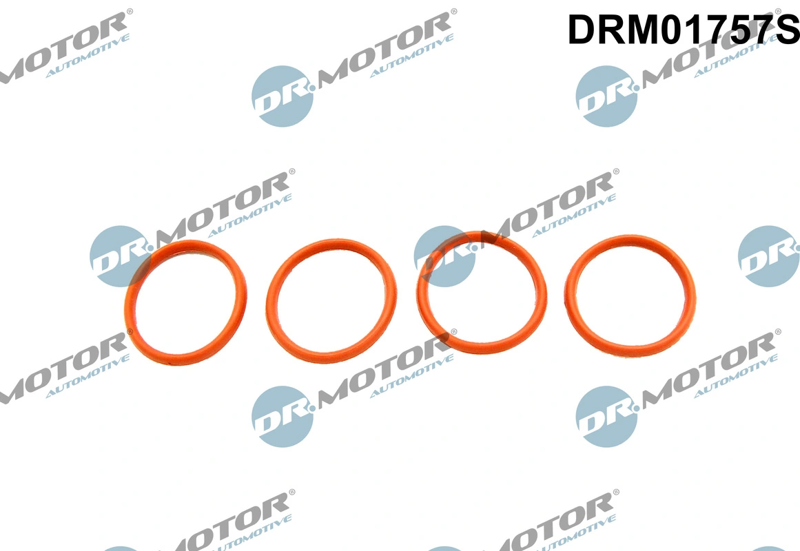 Gasket Set, intake manifold DRM01757S
