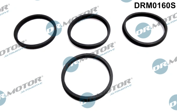 Gasket Set, intake manifold DRM0160S