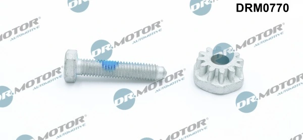 Tensioner Bolt, alternator mounting DRM0770