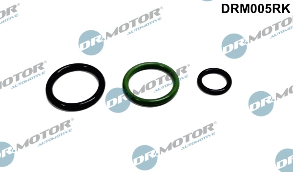 Repair Kit, unit injector DRM005RK