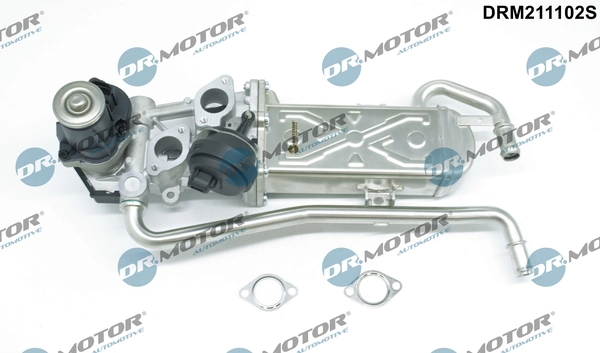 EGR Valve DRM211102S