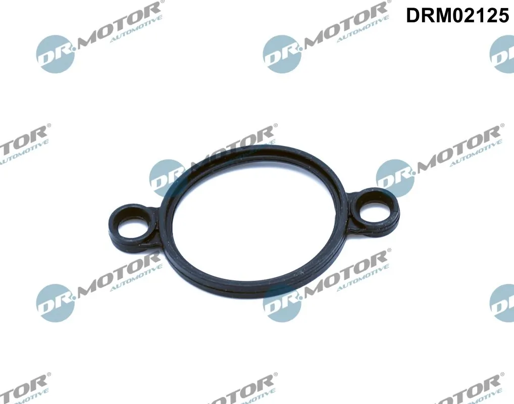 Seal, adjusting element (eccentric shaft) DRM02125
