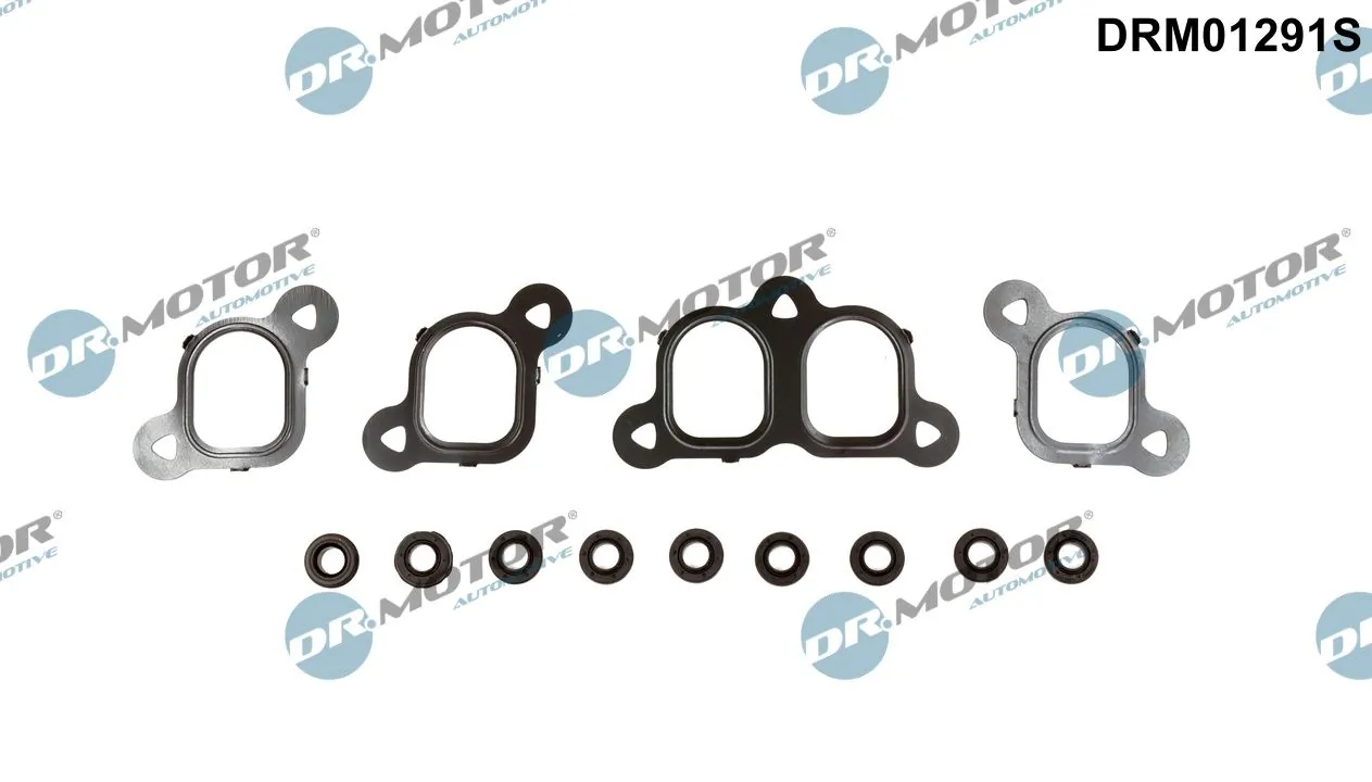 Gasket Set, intake manifold DRM01291S