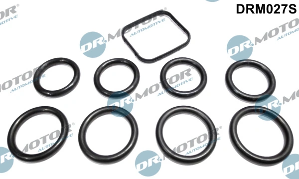 Gasket Set, intake manifold DRM027S