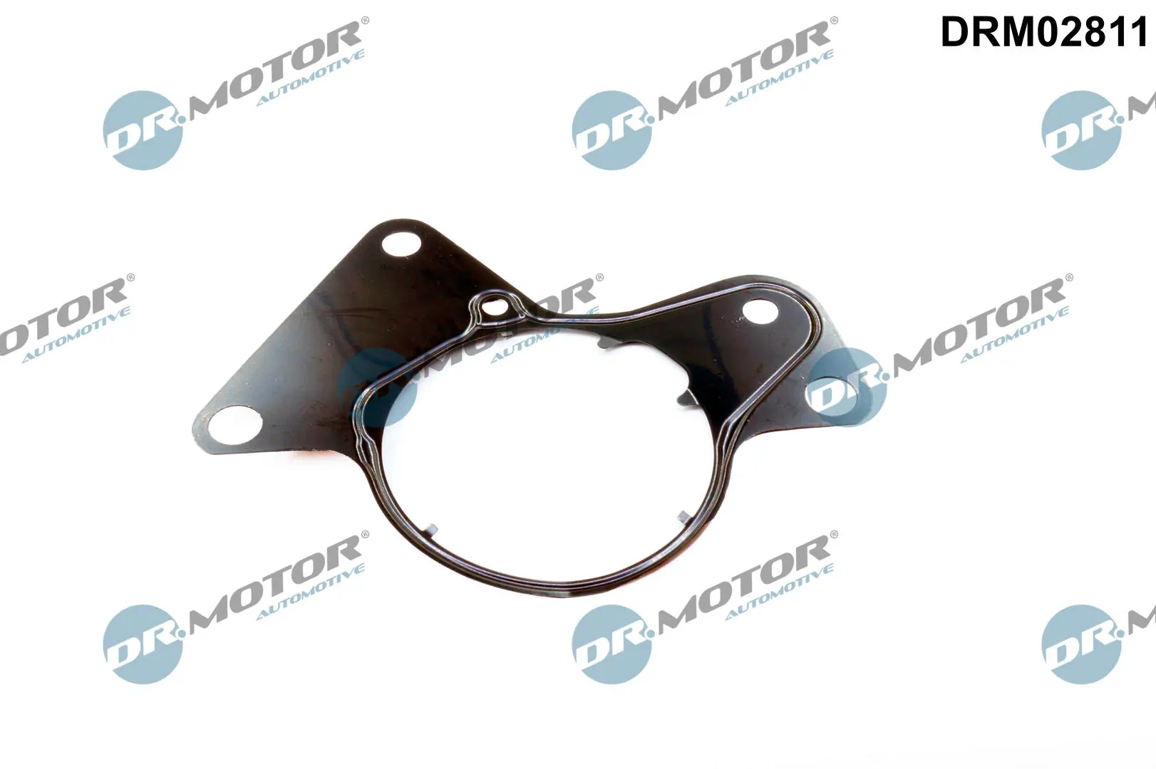 Gasket, fuel pump DRM02811